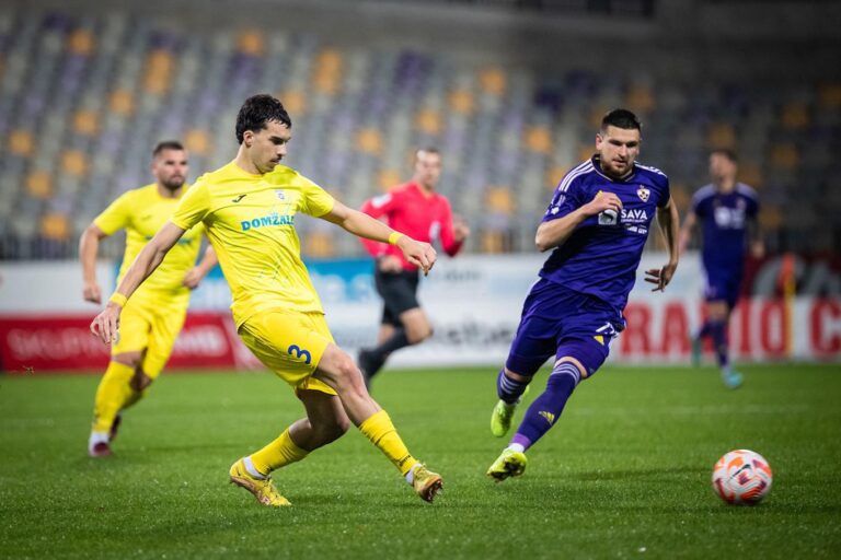 andrej djuric zvezda