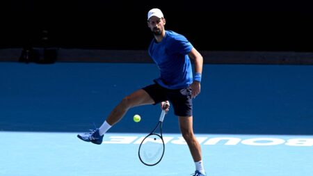 novak
