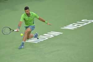 Novak Indijan Vels