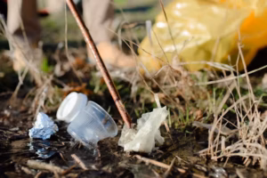 Jednostavan trik koji može pomoći biljkama da prebrode sezonu štetočina